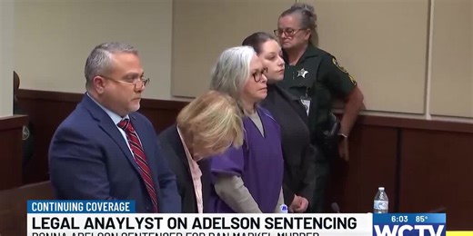 Legal analyst breaks down Adelson sentencing