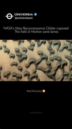 What Are These "Tadpoles" on Mars? 👽