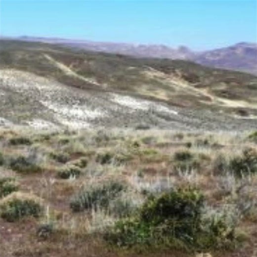 NEVADA 80 acres of Rolling Hills #acreage