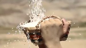 Food From Heaven | Catholic Online