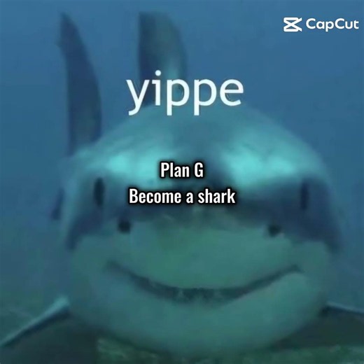 plans incase i dont make plan a... #anime #plans #notminefoundoncapcut