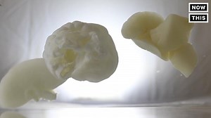 544K views · 2.2K reactions | This amazing discovery could make organ transplants obsolete | NowThis Earth | Facebook