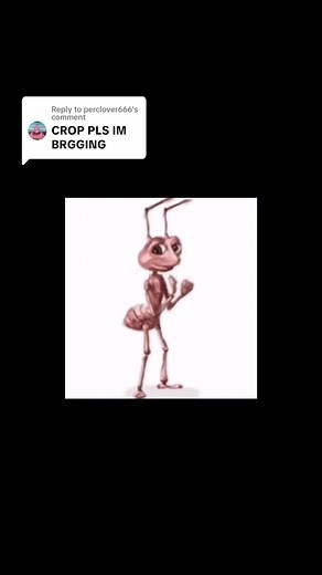 Sad Ant Carrying Bag Meme Compilation