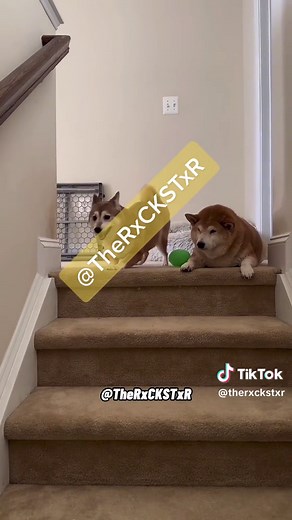 RxCKSTxR (@therxckstxr)’s video of the rxckstxr voiceover