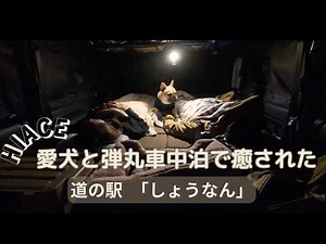 愛犬と楽しめる車中泊！大人気「道の駅しょうなん」ぐーたらな休日で癒されました。 フレンチブルドッグ ハイエース 車中泊