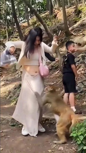 Monkey stealing women's food (compilation) | funny monkey stealing food