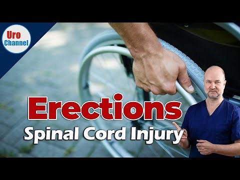 Erections after Spinal Cord Injury: What Your Doctor Didn't Tell You | UroChannel