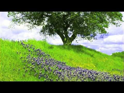 Magic Carpet Ride: a guided relaxation