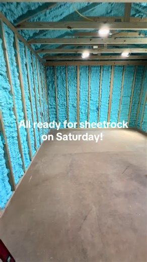 All cleaned up and ready to sheetrock on Saturday! I literally have the best friends ever, they both took off to come help us! Love you guys!! #friends #DIY #geckoshed #progress