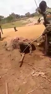 UPDF Military Training! Course Unit: Introduction to the camp! Can you handle? | Howwe Biz