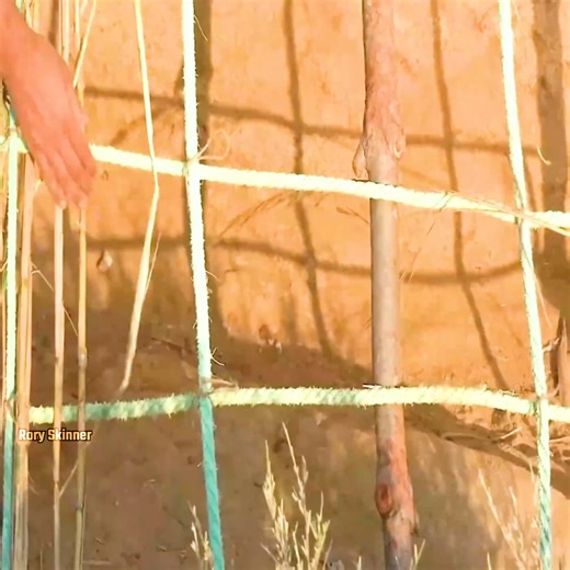 3.5K views · 25 reactions | A complete off-grid building experience from nothing to a dream cabin in the woo | Rory Skinner | Facebook