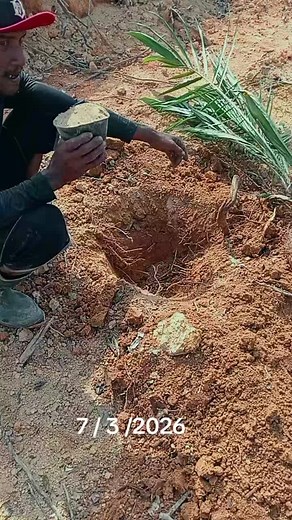 Baja ERP Sawit: The Future of Palm Oil Management