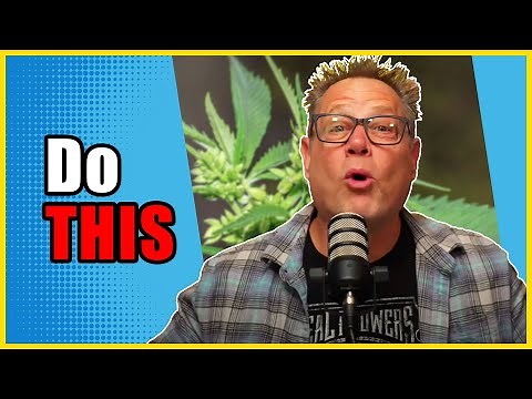 The FASTEST Way to Find Out if Your Cannabis Plant is Male or Female