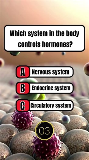 Which System Controls Hormones? 🧠🧪 | Human Body Quiz#trivia #usaquiz #uk
