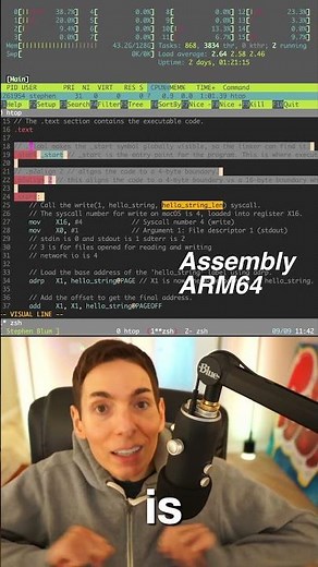 Mutable Data in Programming