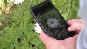 PlantSnap is a mobile app that uses artificial intelligence to identify plants, flowers and trees. Simply snap a photo, and PlantSnap tells you what it is! As seen on NBC, CBC, ABC, FOX! | PlantSnap