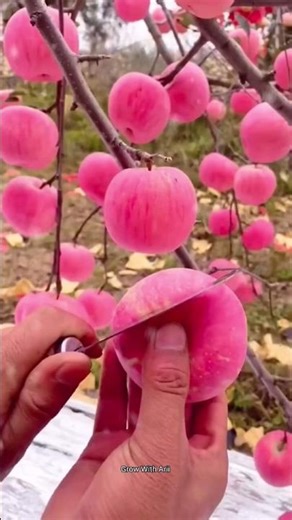 Life Truths 💯✅🔥 #motivation#trendingyoutubeshorts #successsigma#motivationalclips