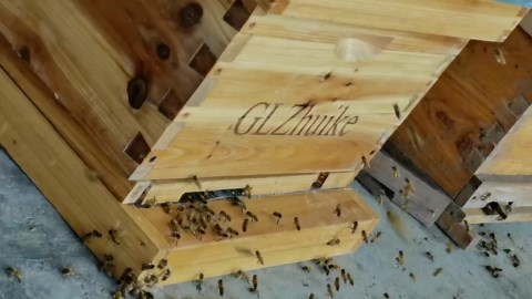 10 Frames Complete Beehive Boxes Starter Kit, 2 Layers Langstroth Beehive Includes 1 Deep Bee Boxes, 1 Medium Box with Beehive Frames and Food Grade Foundation Sheet, Wood grain