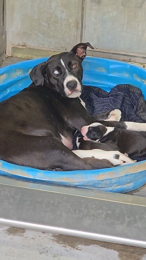 5K views · 446 reactions | I know there may be controversy about my...