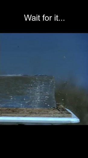 12-Gauge Shotgun DESTROYS Ballistics Gel #shorts