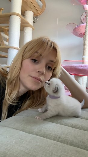 Pearl’s Ragdolls | Singing to my 2 week old kitten | Instagram