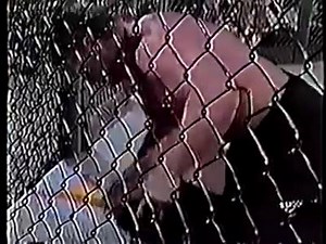 UFC - The The Beginning | Mixed Martial Arts MMA