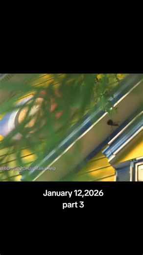 Hard Talks Help: PBB Collab 2.0 Insights