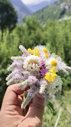 “When flowers sing of beauty, I hold their music gently in my palms.”