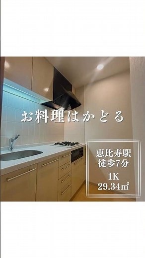恵比寿駅7分/1K/29.34㎡