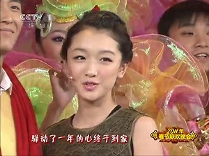 2011年中央电视台春节联欢晚会 01