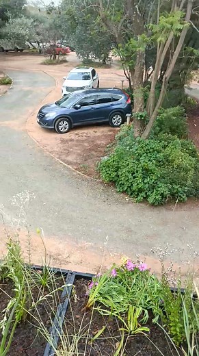 We installed this all indigenous low maintenance grassland garden ontop of the roof of a pod at the Karoo Square for ecological benefits aswell as heat insulation. All the plants are planted in versitray containers that are uv proof. An easy and natural way to insulate your roof and promote ecological offsets without using space. Remember for every building buildt alot of ecologically important plant are killed. So plant your roof with the correct plants and help our indigenous insects and birds