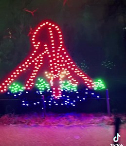 3.2K views · 87 reactions | Don’t miss out on our Zoo Lights Drive-Thru that is now happening every day until December 30! ✨ (excluding December 24 and December 25) Get your ticket ➡️ bit.ly/3jU3G6r | Pittsburgh Zoo & Aquarium | Facebook