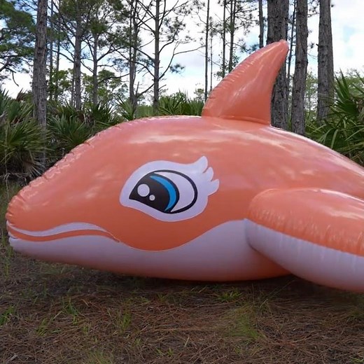 Pastel Pink 3-Meter-Long Pool Toy Whale Inflation