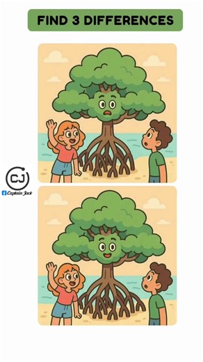 44K views · 492 reactions | Let's Search and Find 3 Difference  | Captain Jack | Facebook