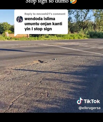 Understanding Traffic Rules for Safer Driving in SA