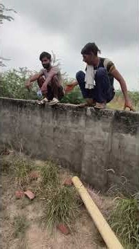 आज तो सीन हो गया सांप पकड़ते समय 😂😂😂 #shortvideo #snake #watchoutforsnakes