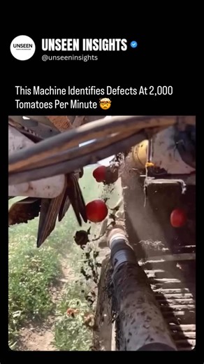 UNSEEN INSIGHTS on Instagram: "“This Machine Identifies Defects At 2,000 Tomatoes Per Minute”, this refers to an advanced industrial vision system, typically used for sorting agricultural produce. Speed: 2,000 units (tomatoes) per minute. Technology: These machines utilize high-speed cameras, AI, and machine learning to analyze the color, shape, and surface condition of each tomato. Function: They instantly identify defects such as bruising, spots, or rot. Action: Once a defect is identified, a 