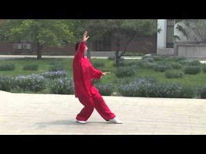 Master Men Ganhong demonstrating Dong Yue Taiji Hand Form