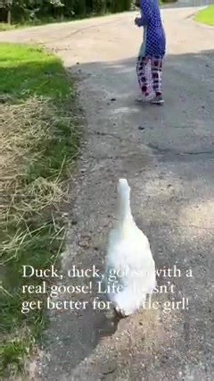 Duck duck goose! Just wait for the goose to win! #sweet #childhood #farmlife #applegatefarmsmo #cute