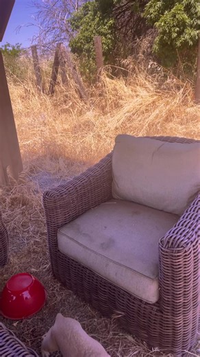 🌻🌻 (@turtlebitch100)’s videos with original sound - Mikaela Bisson