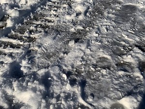 'I Wiped Out:' Middletown Teacher Said She, Students Fell On Ice