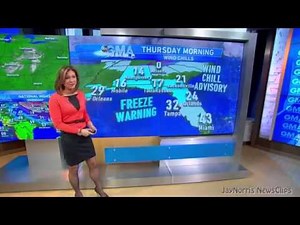 Ginger Zee leather skirt, legs & high heels (10 20 14)