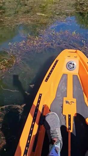 FluxJet Kayaks on Instagram: "🌿 Heavy weeds — no problem ⚡ The FluxJet glides right over where props and pedal drives get stuck. That’s the advantage of a true jet system. No prop. No pedal. No problem. @_wolf_of_walmart #FluxJet #ElectricKayak #JetDriveKayak #WeedTest #KayakUpgrade #BoatLife #KayakInnovation"