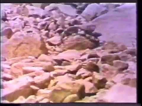 Debris Flow Dynamics