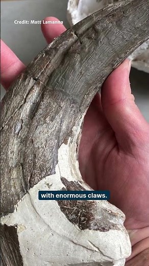 New predatory dinosaur ruled latest Cretaceous Argentina #Paleontology #Evolution