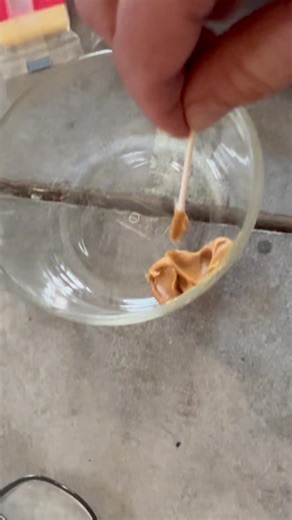 I got rats in my attic! Here is where I'm at with it. #pestcontrol | The Lawn Care Nut - Allyn Hane