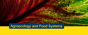 Master Research Unit Agroecology and Food Systems for the MSc Environment and Natural Resources | ZHAW Life Sciences and Facility Management