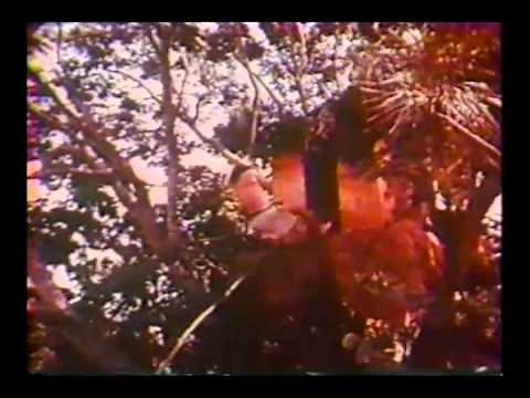 Windex TARZAN funny vintage TV Commercial