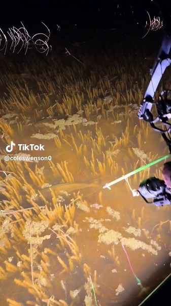 Caza de swamp donkeys: Aventura de bowfishing