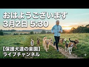ニワトリと人間の違い 3月2日5時30分